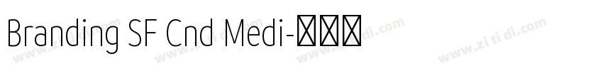 Branding SF Cnd Medi字体转换